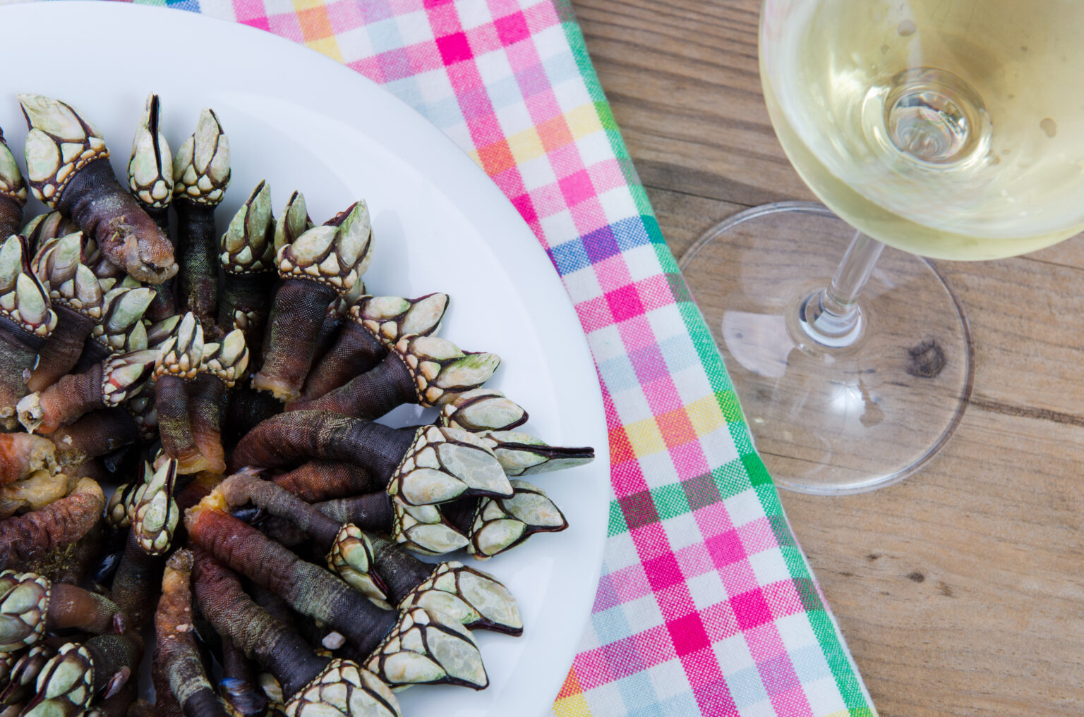 Historias de raíz y futuro